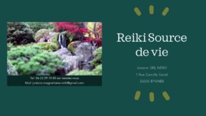 Reiki Source de Vie Contact